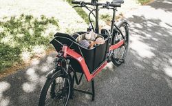 Riese &amp; Müller Packster 40 vario kaufen in Suisse #1 | velomarkt.de