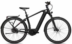 Flyer Gotour6 7.23 kaufen in Schweiz #1 | velomarkt.de