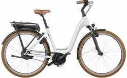 Riese &amp; Müller Swing automatic kaufen in Svizzera #1 | velomarkt.de