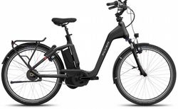 Flyer Gotour4 7.03 | Flyer Gotour4 7.03 | velomarkt.de