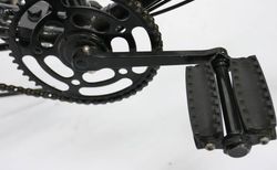 Cosmos Special-Edition Böni kaufen in Schweiz #4 | velomarkt.de