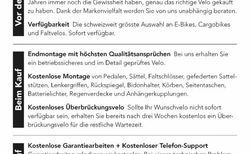 Tern Vektron Q9 kaufen in Suisse #3 | velomarkt.de