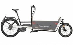 Riese &amp; Müller Packster 80 vario kaufen in Suisse #1 | velomarkt.de