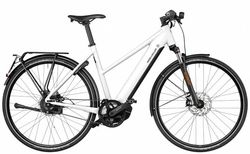 Riese &amp; Müller Roadster vario HS kaufen in Suisse #1 | velomarkt.de
