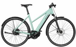 Riese &amp; Müller Roadster vario kaufen in Suisse #1 | velomarkt.de