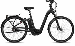 Flyer Gotour5 7.06 kaufen in Svizzera #1 | velomarkt.de