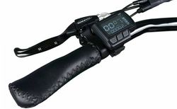 Jeep Cruise E-Bike CR 7004 kaufen in Baden-Württemberg #4 | velomarkt.de