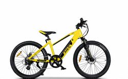 Jeep Teen E-Bike TR 7002 kaufen in Baden-Württemberg #1 | velomarkt.de
