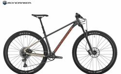 Mondraker Chrono DC kaufen in Berlin #1 | velomarkt.de