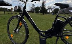 E-Bike Prophete kaufen in Rheinland-Pfalz #2 | velomarkt.de