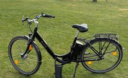 E-Bike Prophete kaufen in Rheinland-Pfalz #1 | velomarkt.de