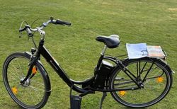 E-Bike Prophete kaufen in Rheinland-Pfalz #4 | velomarkt.de
