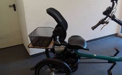 Van Raam Elektro Dreirad kaufen in Hessen #2 | velomarkt.de