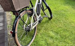 Riese & Müller CruiserCity mixte, RH 43, Cremeweiß 400 Wh Akku | Kork, Schloss, Akku, Bosch-Steuerung | velomarkt.de