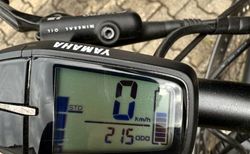 Raymon E Bike | Zwei E Bikes, kaum gebraucht, Top Zustand | velomarkt.de