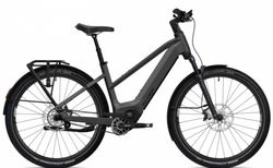 Flyer Goroc TR 7.33 kaufen in Svizzera #1 | velomarkt.de
