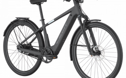 Scott Passage 10 Belt kaufen in Switzerland #1 | velomarkt.de
