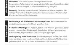 Flyer Upstreet5 7.43 kaufen in Schweiz #2 | velomarkt.de