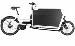 Riese &amp; Müller Transporter 2 85 vario kaufen in Schweiz #1 | velomarkt.de