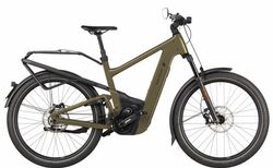 Riese & Müller Delite 5 GT pinion HS | Riese & Müller Delite 5 GT pinion HS | velomarkt.de