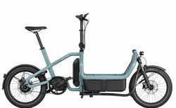 Riese & Müller Carrie vario | Riese & Müller Carrie vario | velomarkt.de