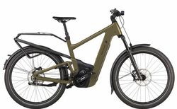 Riese & Müller Delite 5 GT pinion | Riese & Müller Delite 5 GT pinion | velomarkt.de