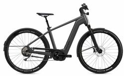 Flyer Gotour 7.10 SE | Flyer Gotour 7.10 SE | velomarkt.de