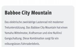 Babboe City Mountain | Lastenrad - nagelneu mit umfangreichen Zubehör | velomarkt.de