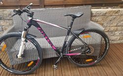 Mountainbike Kellys/Damen/Herren | TOP BIKE | velomarkt.de