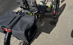 Dreirad Liegerad Velotechnik Gekko 26 kaufen in Baden-Württemberg #3 | velomarkt.de