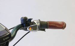 Riese &amp; Müller Swing automatic kaufen in Schweiz #3 | velomarkt.de