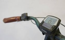 Riese &amp; Müller Swing automatic kaufen in Schweiz #4 | velomarkt.de