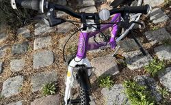 Woom 4 Kinderfahrrad 20 Zoll Lila kaufen in Bayern #4 | velomarkt.de