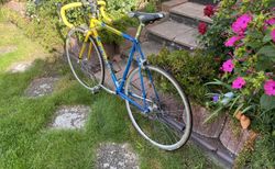 Peugeot Rennrad kaufen in Bayern #2 | velomarkt.de