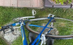 Peugeot Rennrad kaufen in Bayern #4 | velomarkt.de
