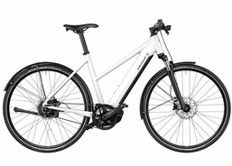 Riese & Müller Roadster vario HS | Vélos de ville / vélos de randonnée | Vélos de ville | velomarkt.de