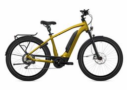 Flyer Upstreet3 7.10 | eBikes / Elektrofahrräder | eBikes bis 25 km/h | velomarkt.de