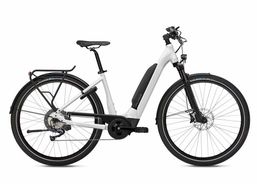 Flyer Upstreet5 5.10 | Bici da città / Bici da turismo | Citybikes | velomarkt.de