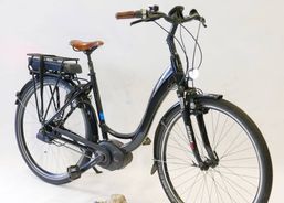Riese & Müller Swing automatic | eBikes / Electric bikes | eBikes up to 25 km/h | velomarkt.de