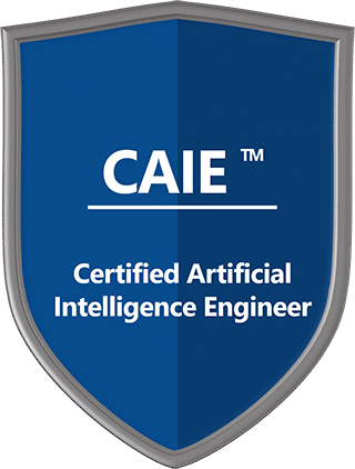 Certified Artificial Intelligence Engineer