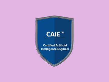 Certified Artificial Intelligence Engineer