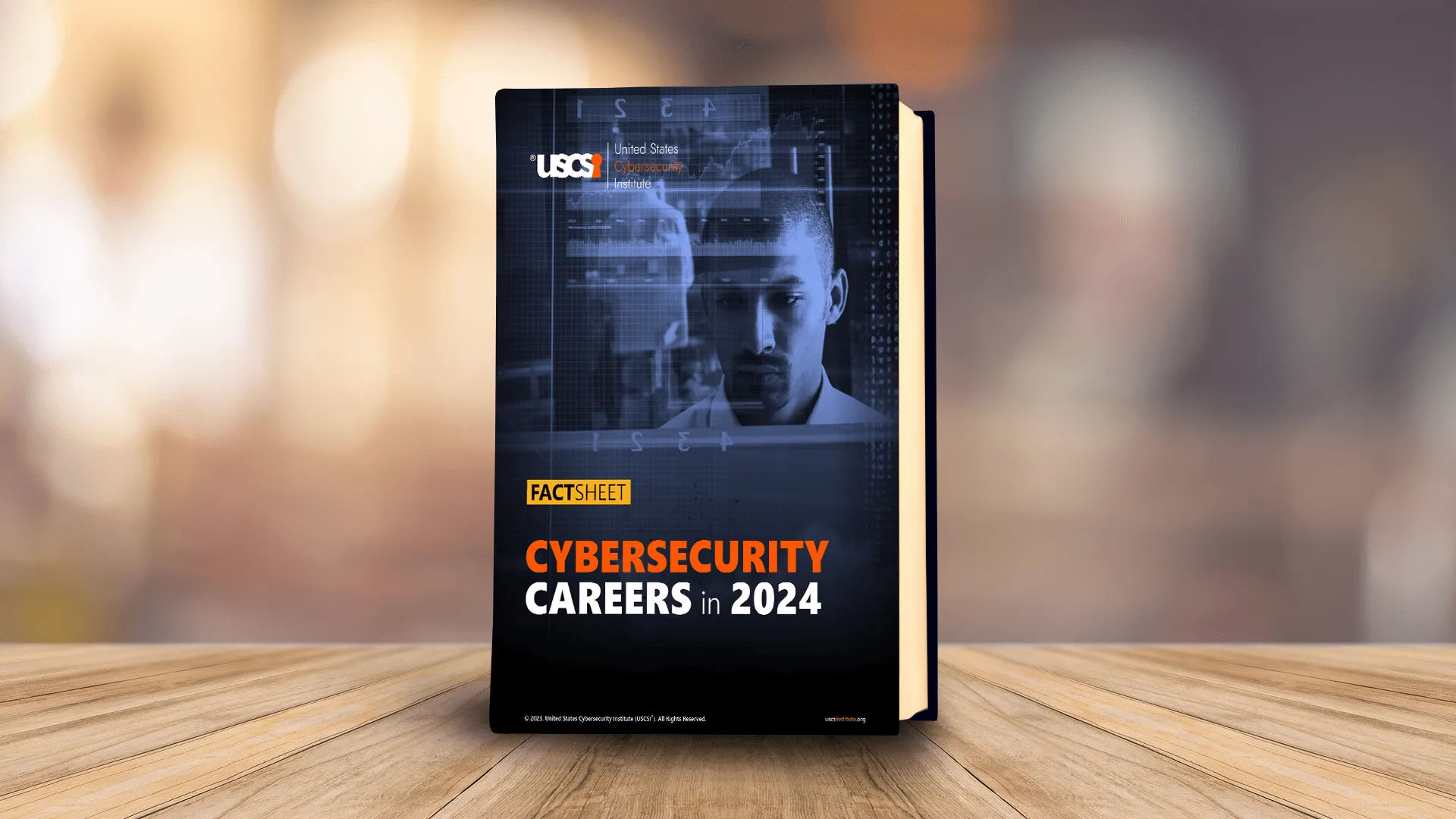 Factsheet Cybersecurity Careers In 2024   Factsheet Cybersecurity Careers In 2024 