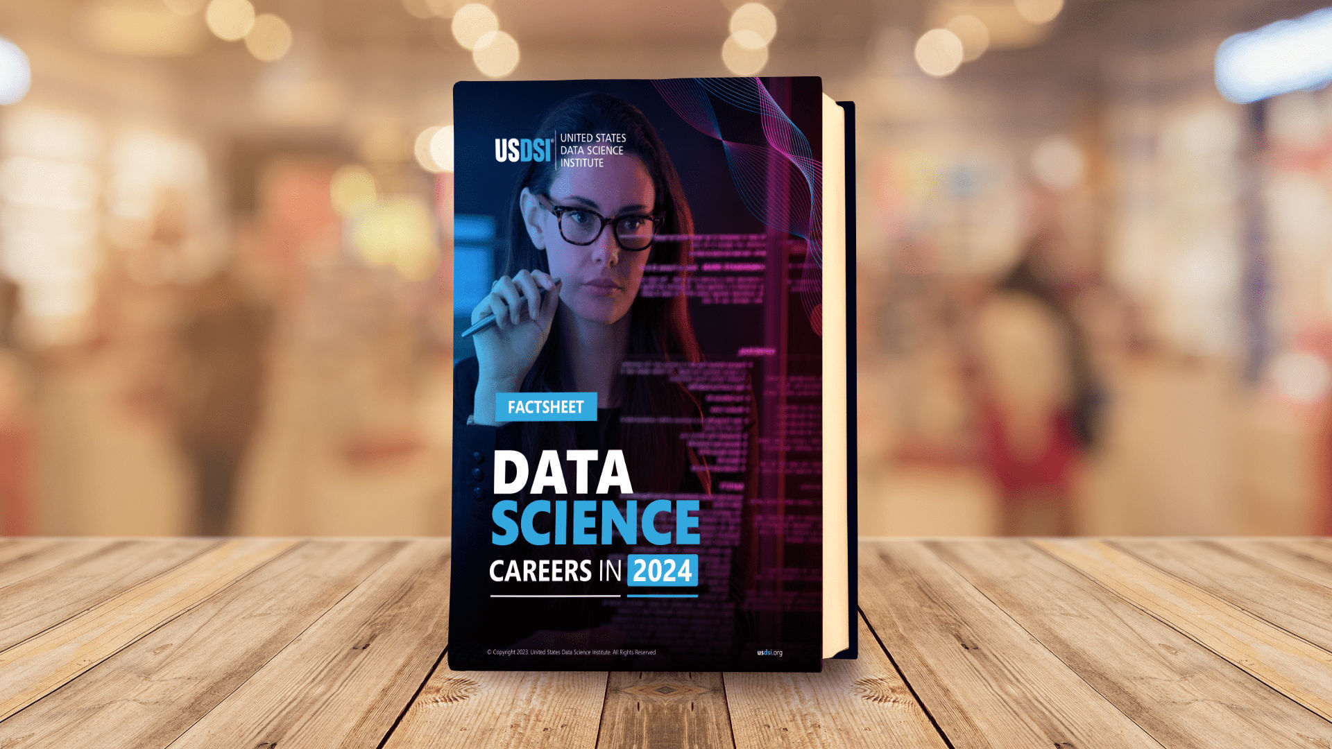 Factsheet Data Science Careers in 2024