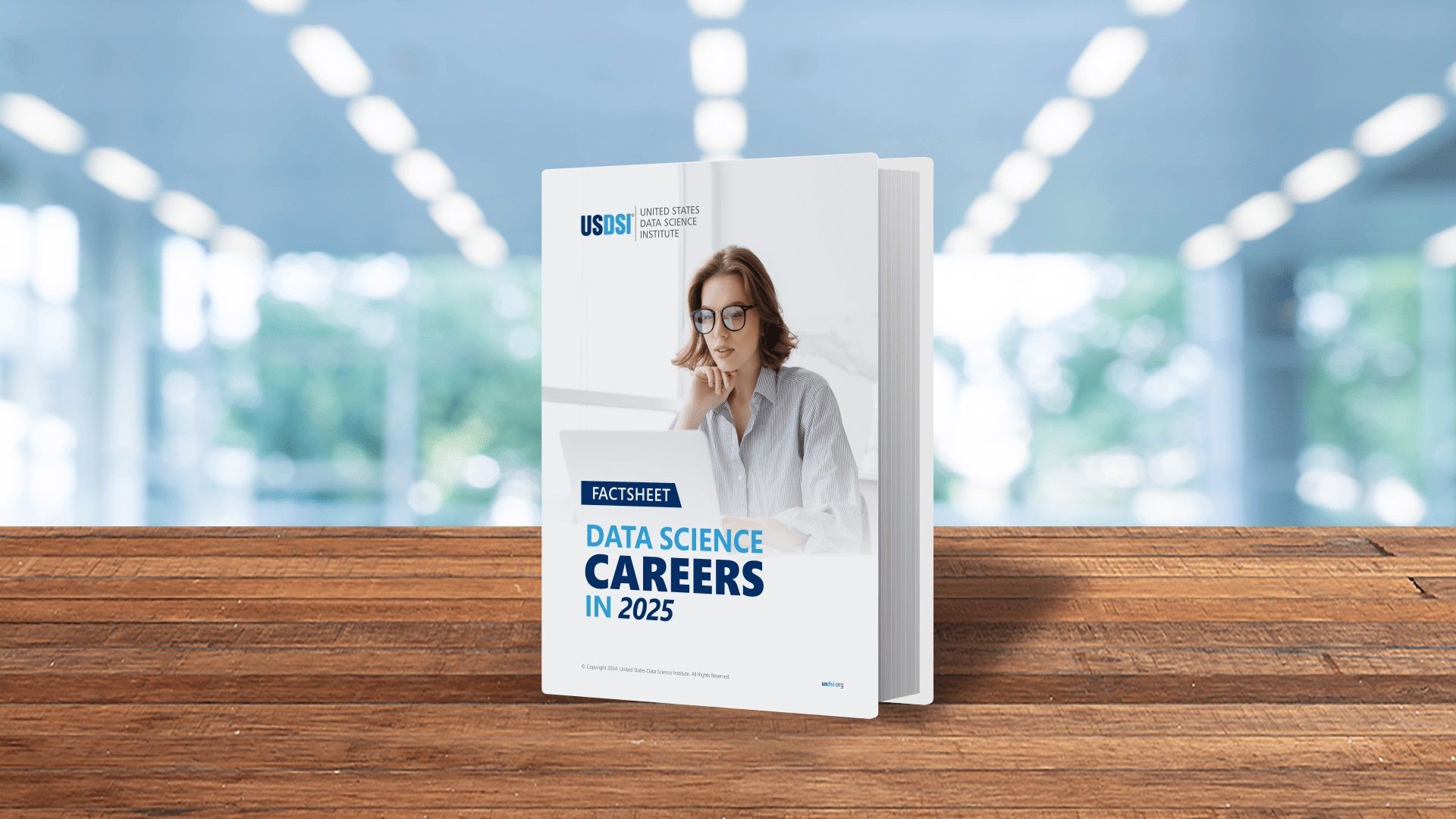 Factsheet: Data Science Career 2025