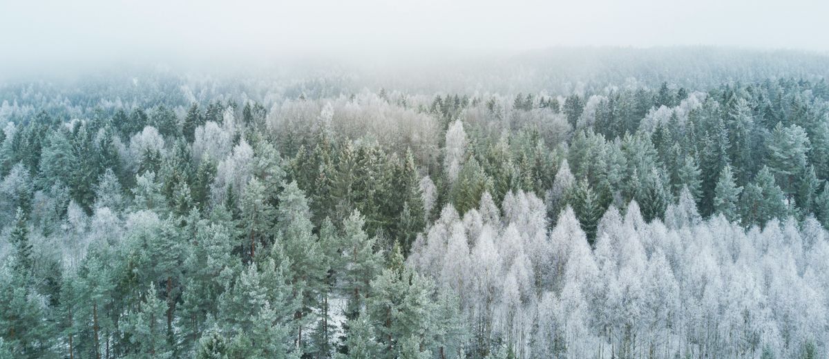 An Interview with an English and Film Study-Abroad Student in Norway