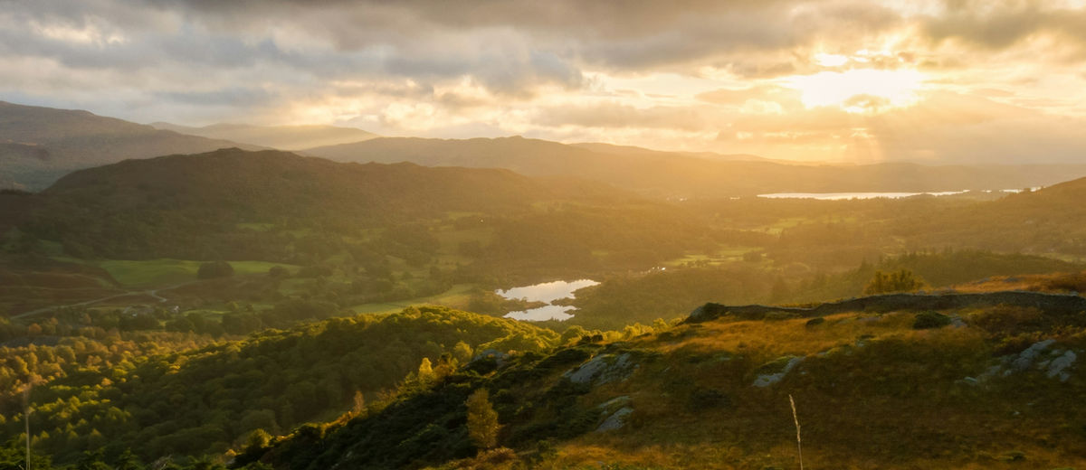 Ireland International Tuition Fees Guide 2025