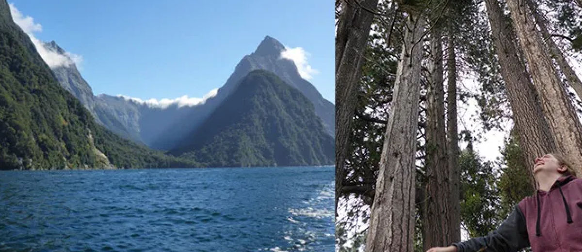 My First Blog from New Zealand