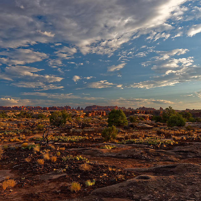 Landscape and Nature Images