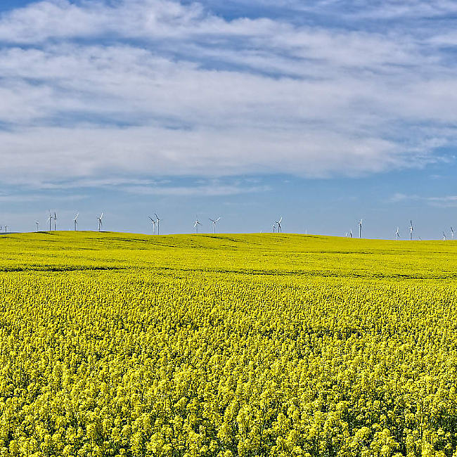 Landscape and Nature Images