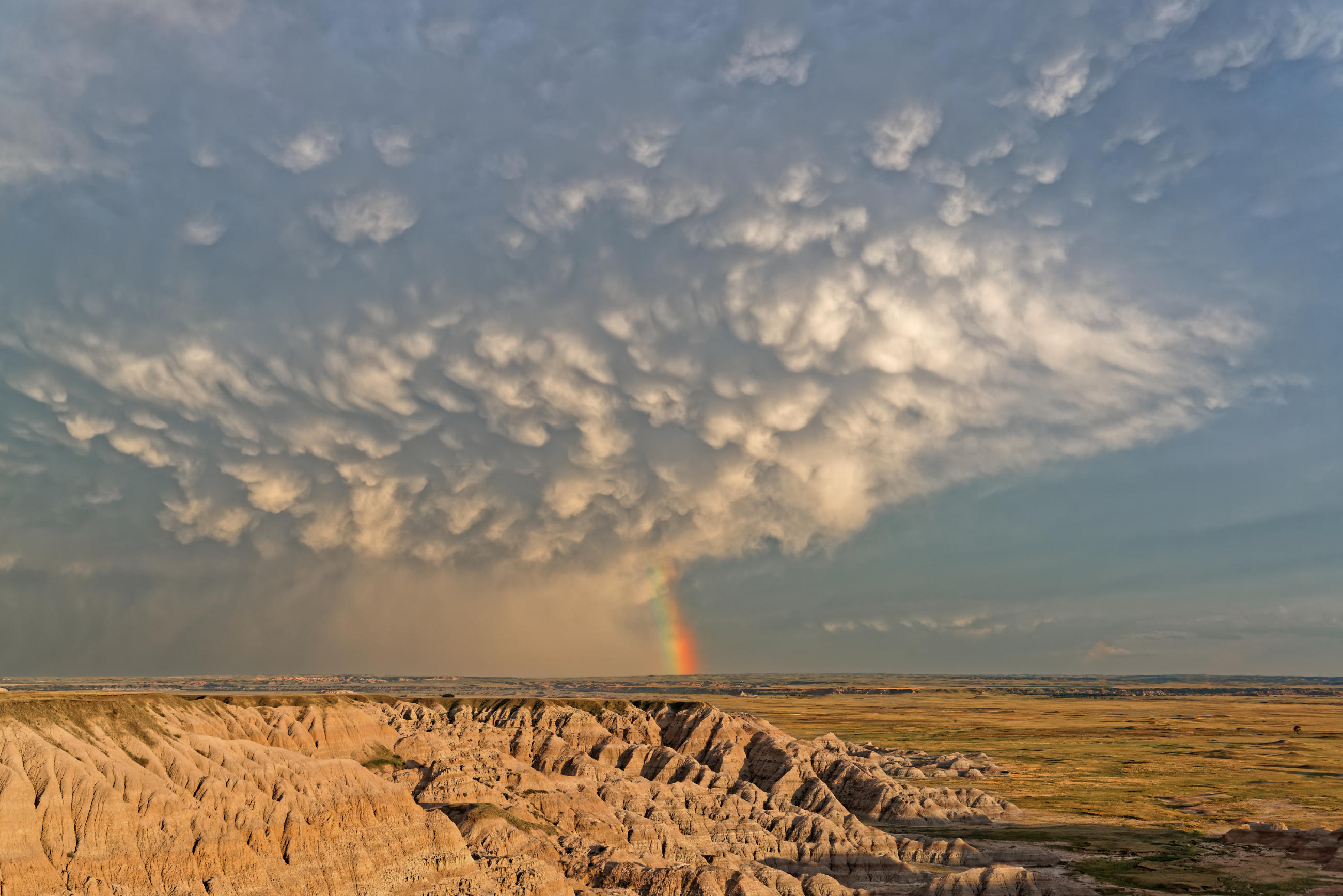 Main Landscape or Nature Photograph
